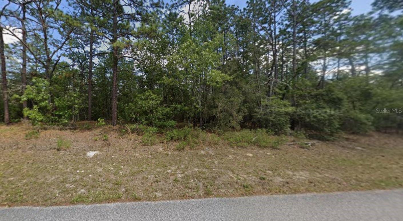 CITRUS SPGS UNIT 03 - Land