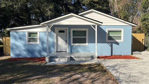 217 W CHELSEA STREET DELAND FL 32720