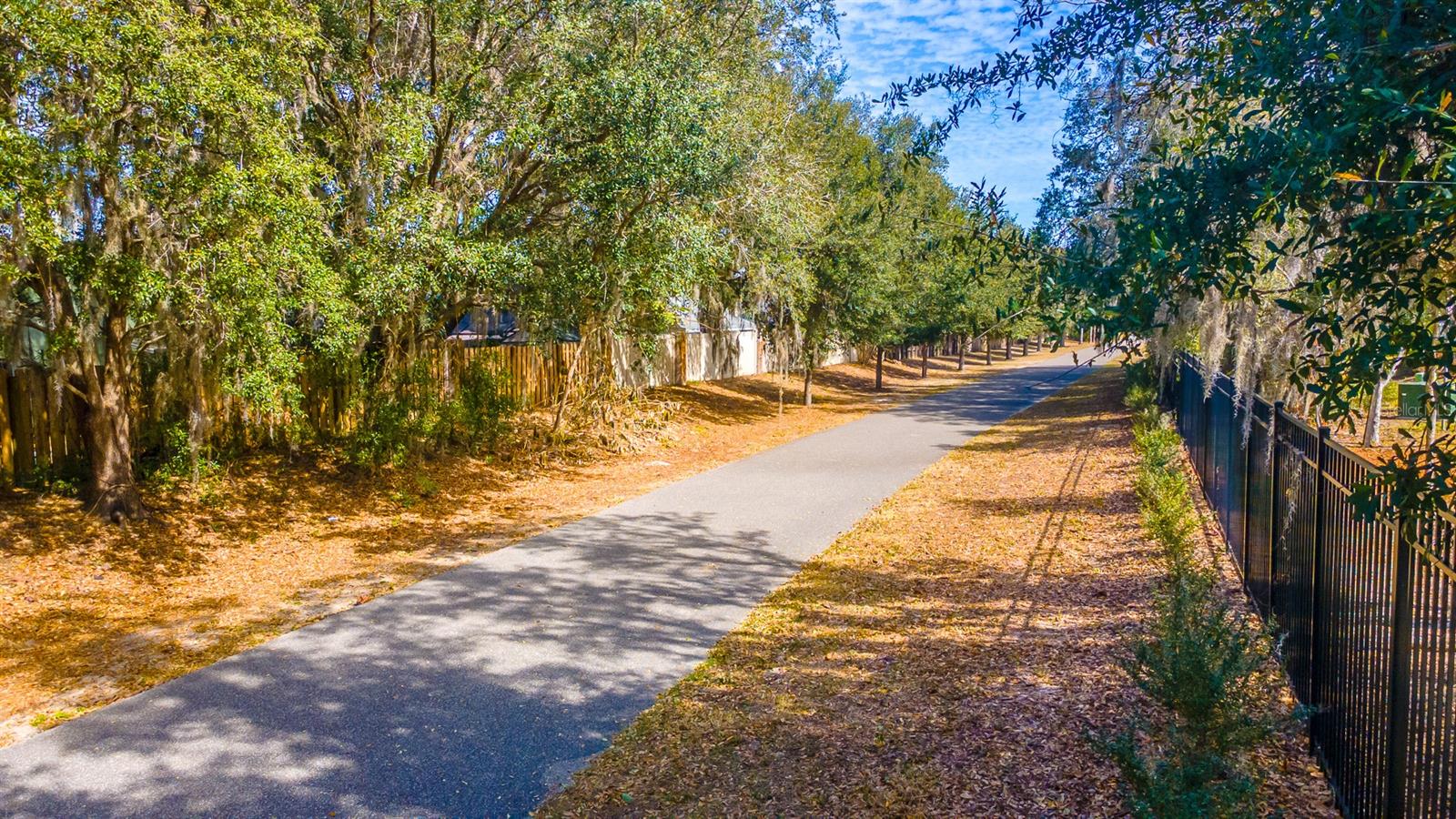 TOWNS AT TUSKAWILLA COMMONS - Residential