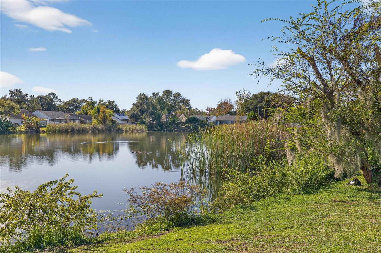 RIVERDALE SUB PH 3A - Residential