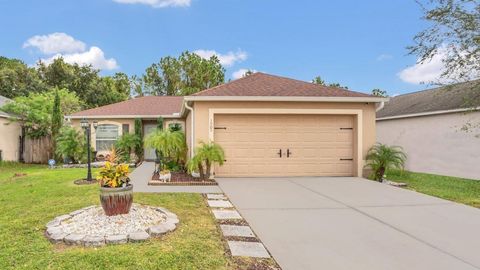 A home in ORLANDO