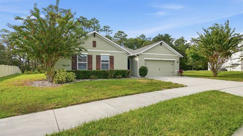 Photo of 317 Nowell Loop, Deland, FL 32724 (MLS # V4945758)