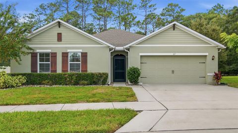 317 NOWELL LOOP DELAND FL 32724
