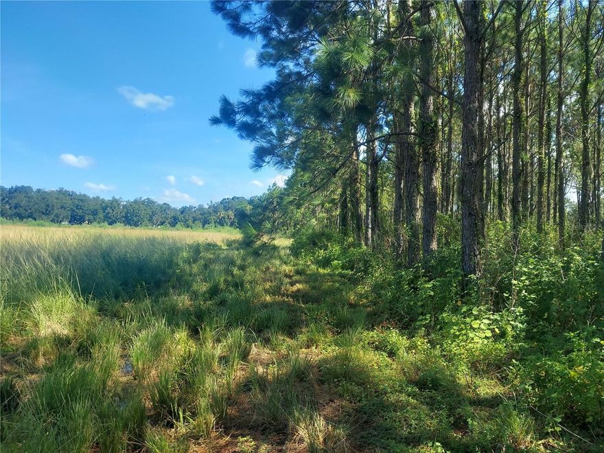 Located along County Line Road between State Road 60 and Interstate 4 on the Hillsborough / Polk County line, this property is an ideal location that provides an abundance of potential to an enterprising land investor.
33+/- acres of Land
1+/- AC is wetlands / 10+ AC in Flood Zone A
In the path of substantial growth and development along County Line Road
Over 1,100’ of frontage along County Line Road
Ease of access to S.R. 60 and Interstate 4
Current Zoning/FLU - AS-0.4 Agricultural Zoning / AE-1 (Ag. Estate) Future Land Use
Currently green belted minimizing holding costs for buy and hold investor
Inflation hedge with substantial potential upside