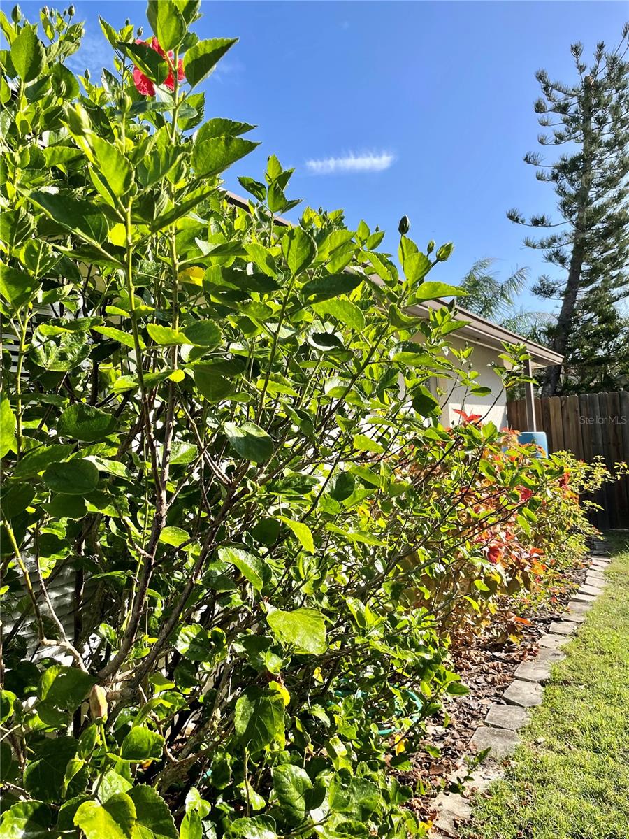 GULF GATE EAST - Residential