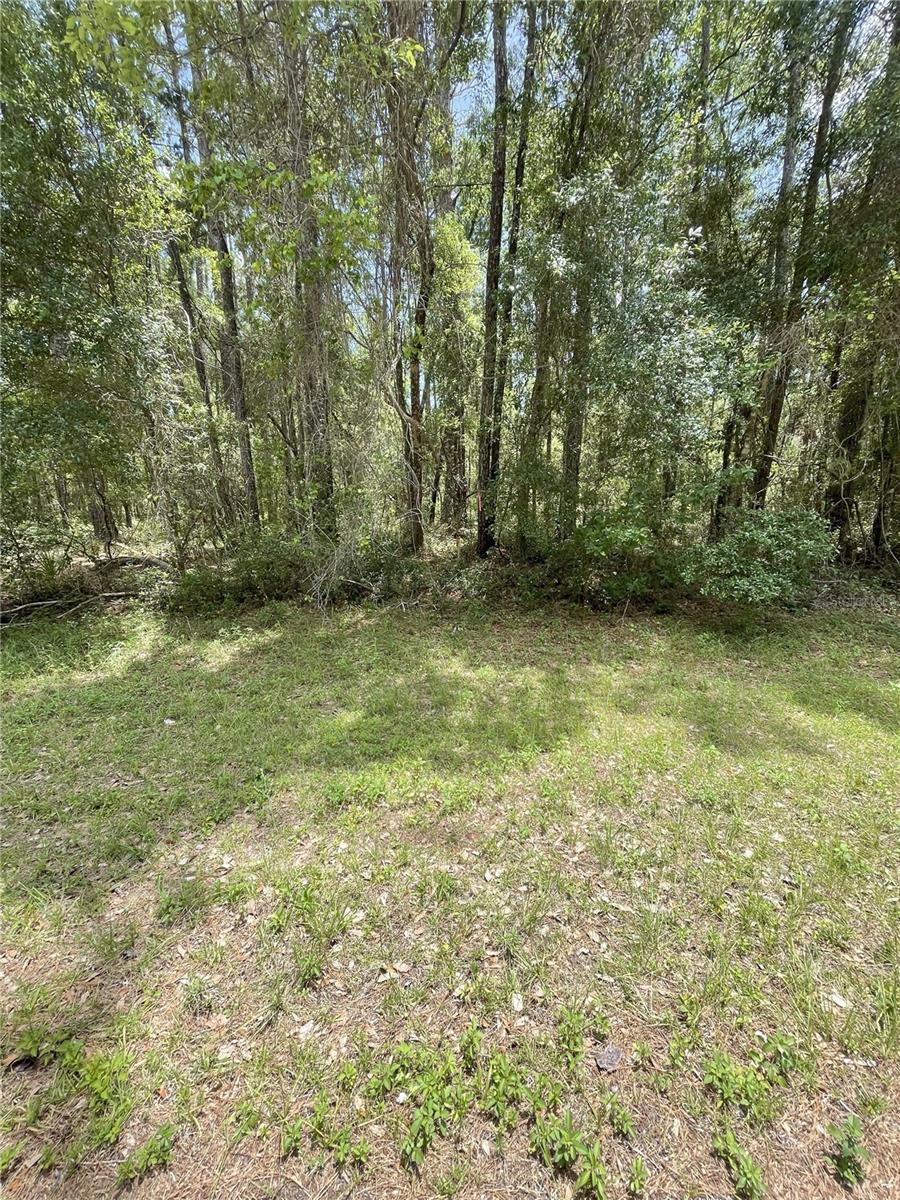 Welcome to 9238 N Athenia Drive, Citrus Springs, FL 34434 — an excellent 80x123 ft homesite in the heart of one of Citrus County’s fastest-growing communities. Future homeowners will enjoy no mandatory HOA and the peace of mind of a homes-only deed-restricted community (site-built homes only, no manufactured).
This parcel sits dry in Flood Zone X, with paved road access and Duke Energy electric service nearby. The lot will require onsite well water and septic system, typical for Citrus Springs, with support from the Citrus County Water & Sewer District for resource information. Build at your own pace — there are no time limits to build, and you can choose your own builder.
Citrus Springs is known for its community amenities, including a library, tennis courts, ball fields, and direct access to the 46-mile Withlacoochee State Trail for biking and hiking. Just minutes away, you’ll find Rainbow Springs State Park and Rainbow River, perfect for kayaking, tubing, and swimming in crystal-clear spring water. Shopping, medical offices, and dining in Dunnellon are close by, with easy commutes to Ocala, Crystal River, and the Gulf Coast.
Whether you’re ready to break ground now or want to secure a solid investment for the future, this lot offers the ideal combination of location, utilities, and Florida lifestyle.
*BONUS: Ask about 2 more available lots ON THE SAME STREET and 3 other lots in this area — ask about package pricing for multiple parcels!
CALL today and turn opportunity into reality!