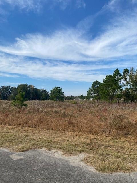 SILVER SPGS SHORES UN 31 - Residential