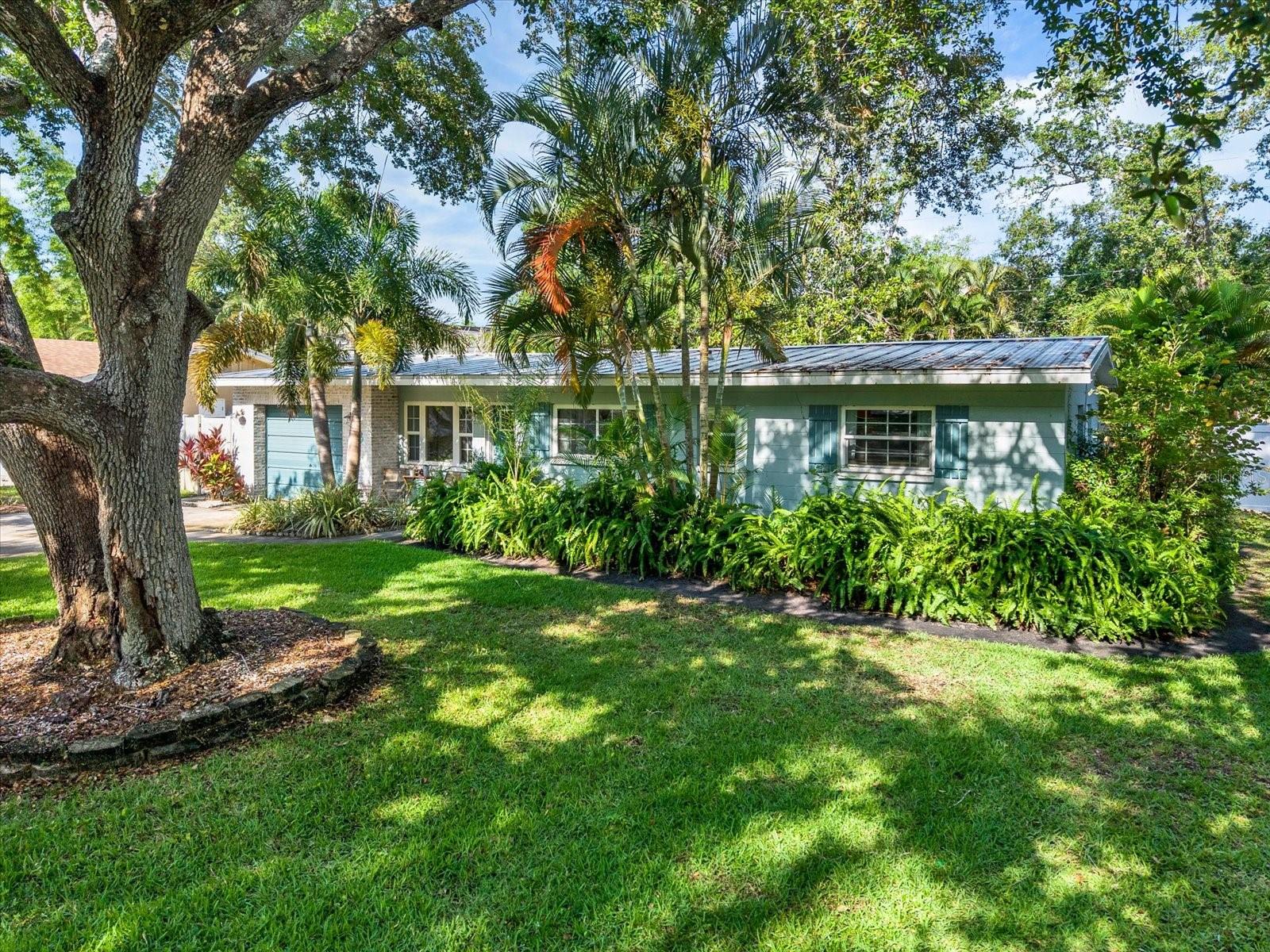 BAY PINES MANOR - Residential