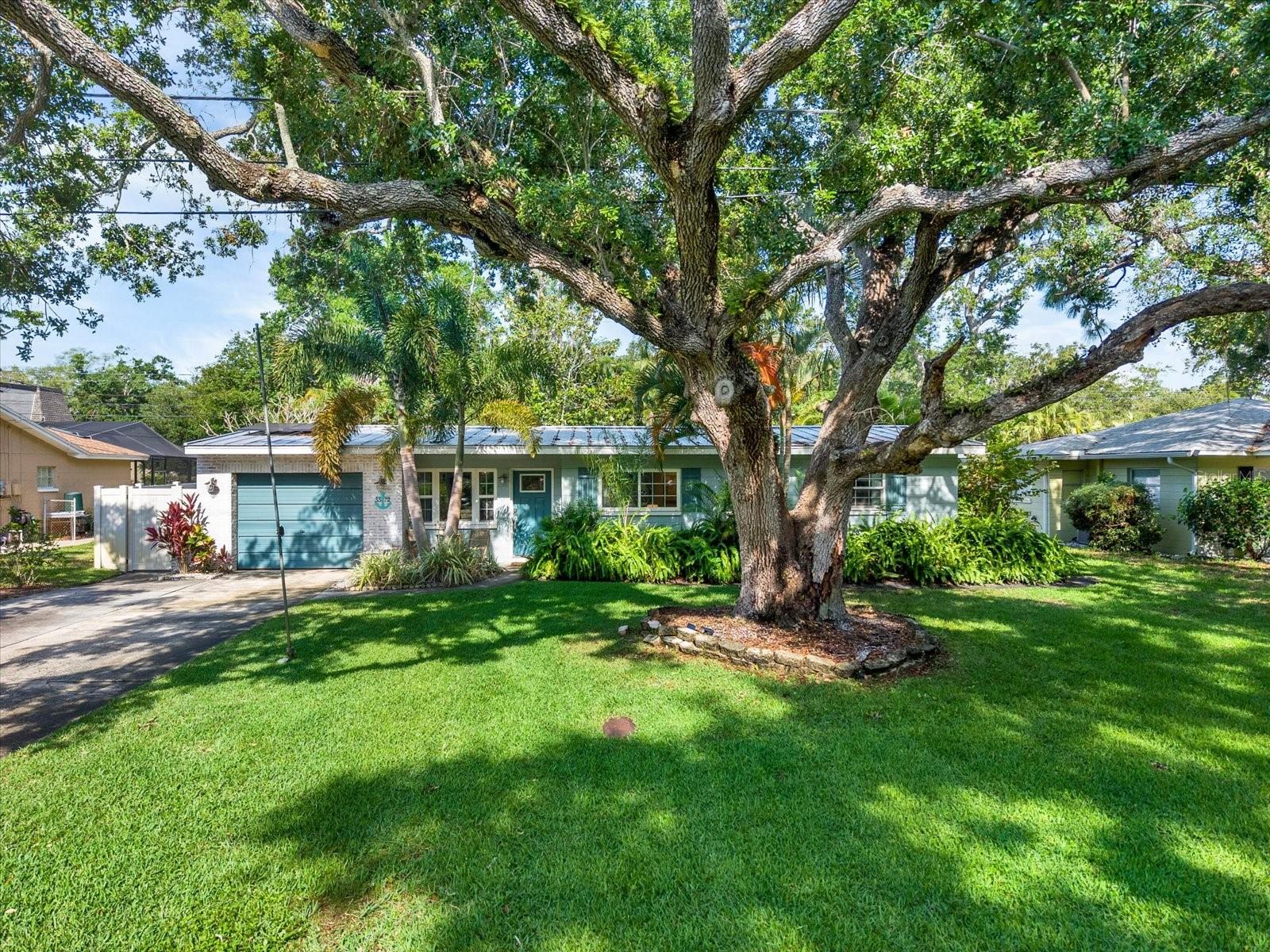 BAY PINES MANOR - Residential