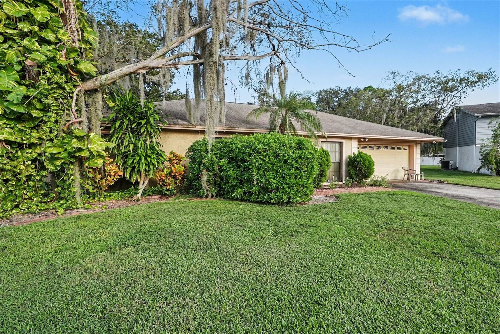 602 SPECK COURT