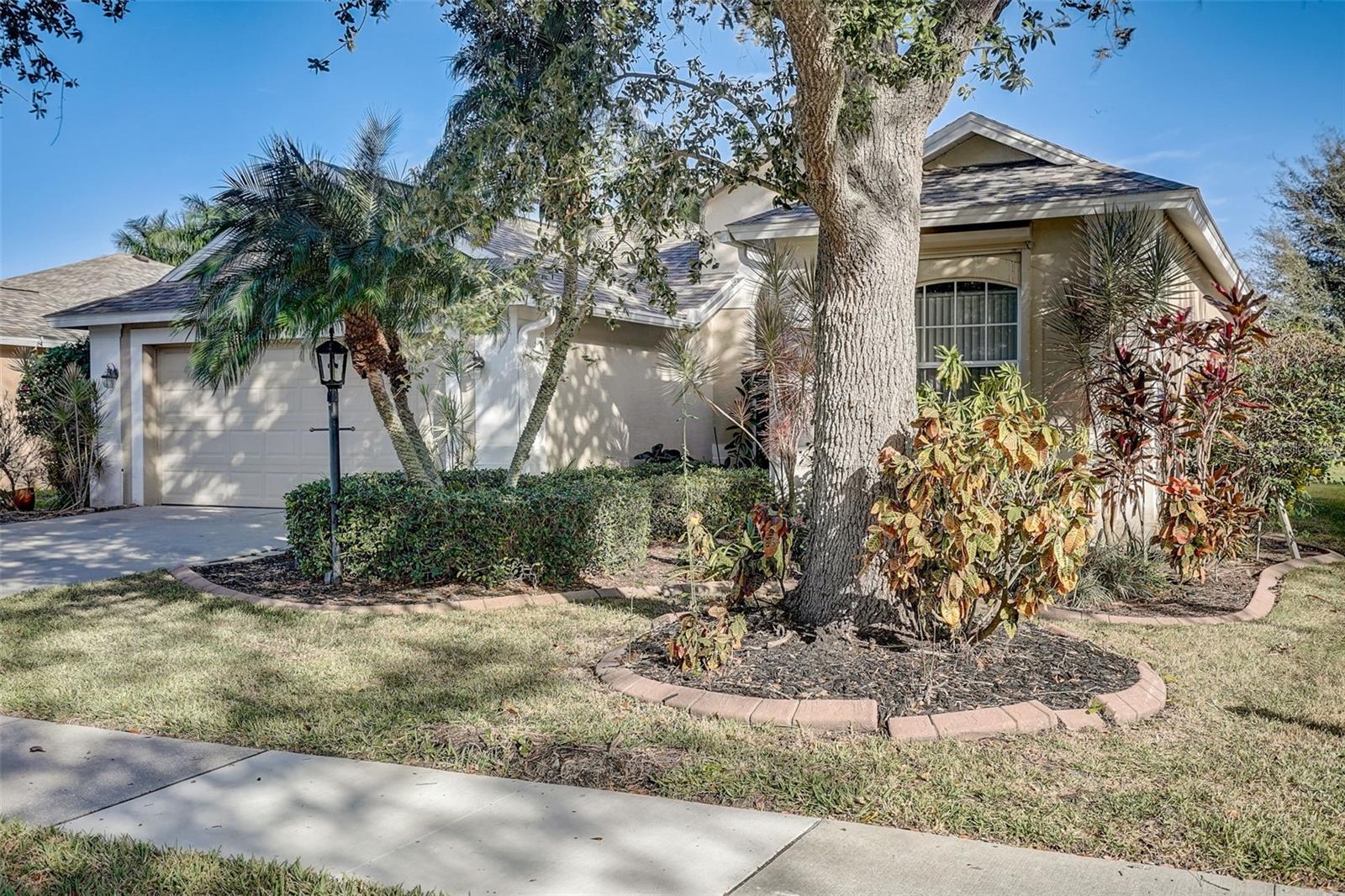 CARLYLE AT VILLAGES OF PALM-AIRE - Residential