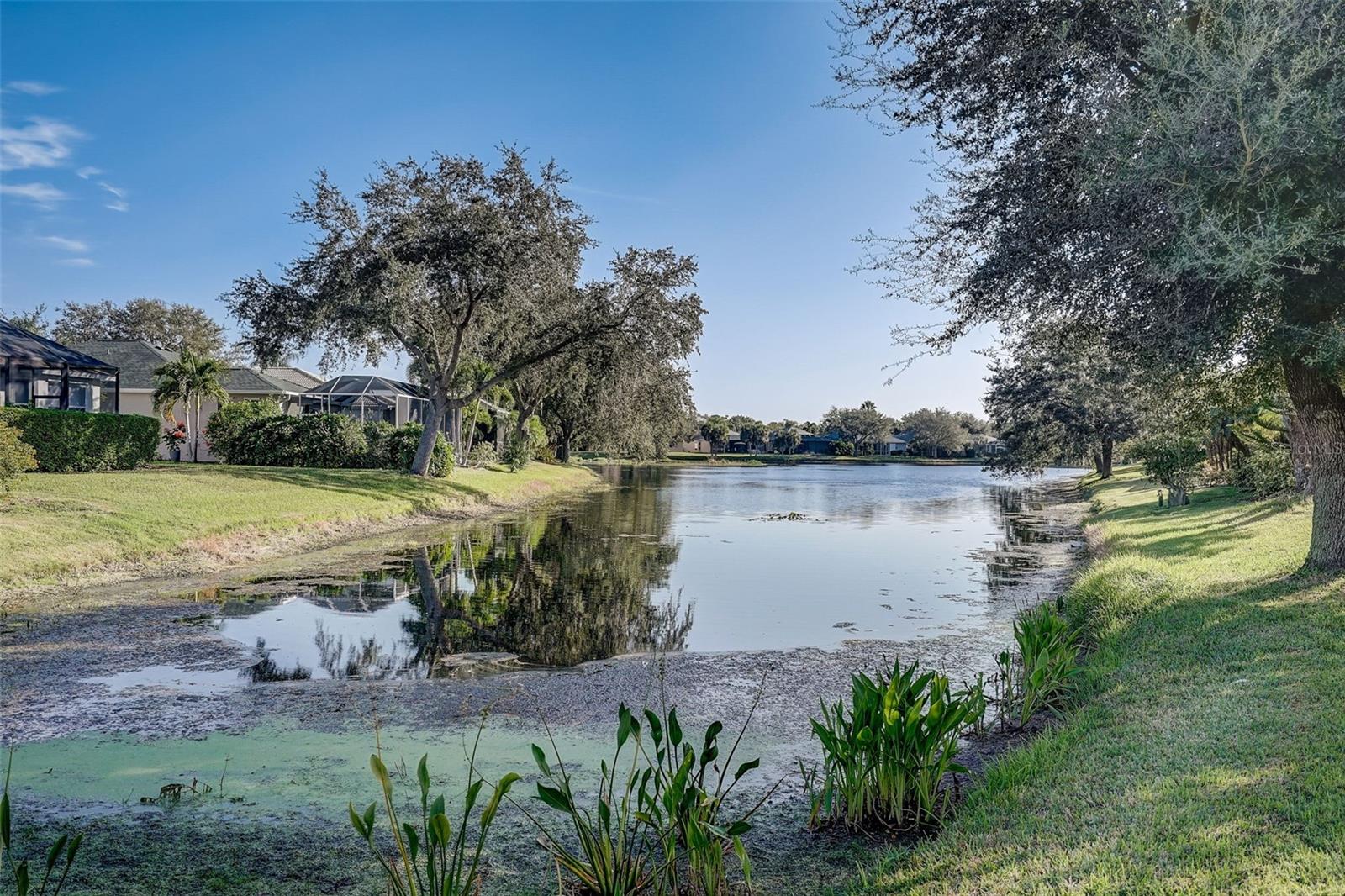 CARLYLE AT VILLAGES OF PALM-AIRE - Residential