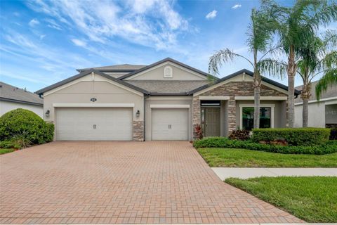 18125 ROSEATE DRIVE LUTZ FL 33558