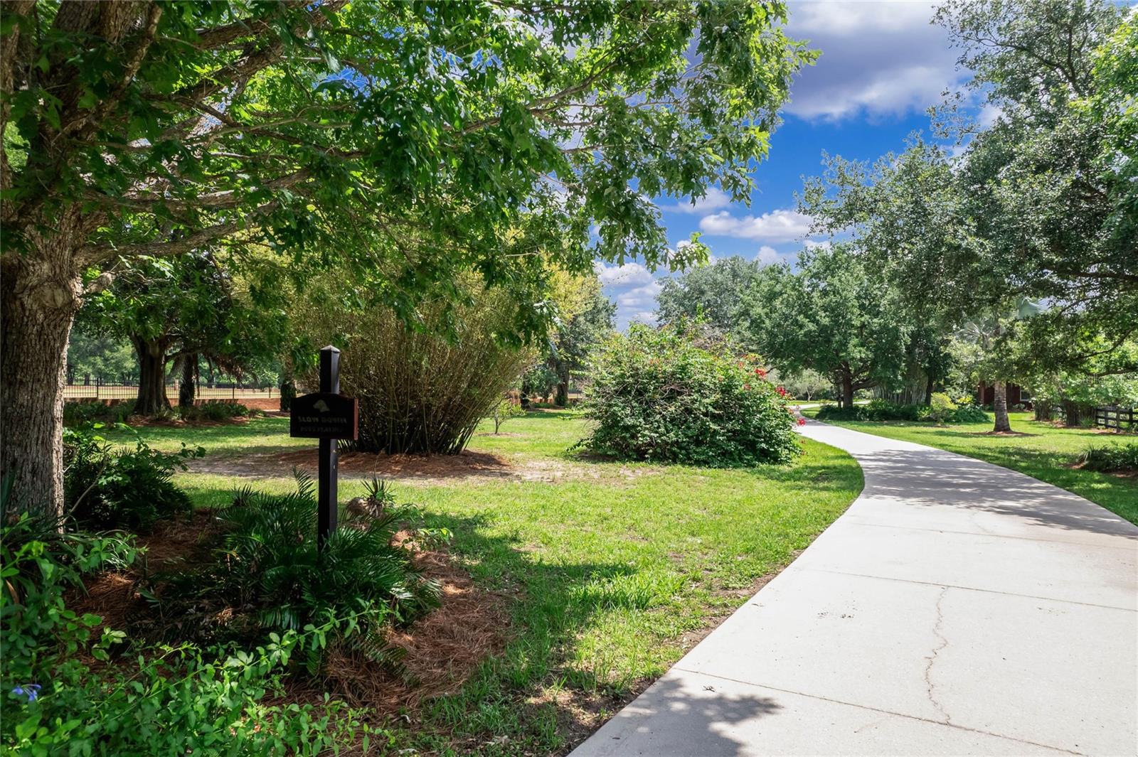 ALEX ST CLAIR ABRAMS SUB - Residential