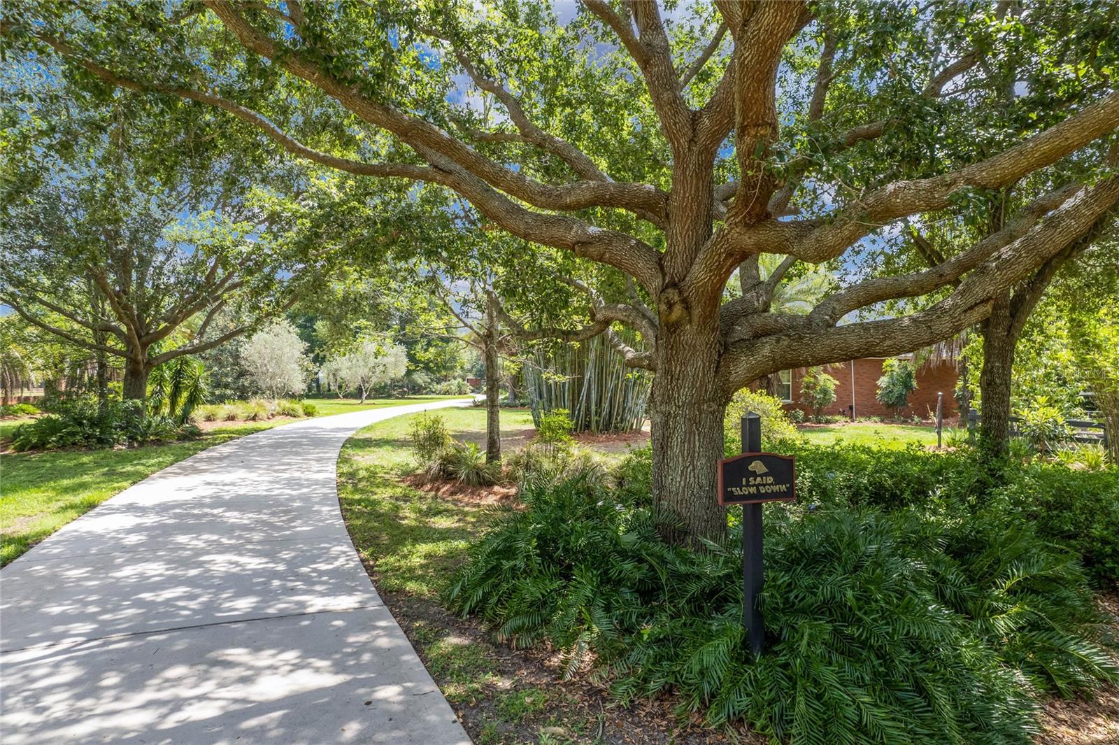 ALEX ST CLAIR ABRAMS SUB - Residential