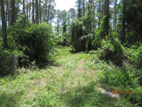 4643 WALNUT AVENUE BUNNELL FL 32110