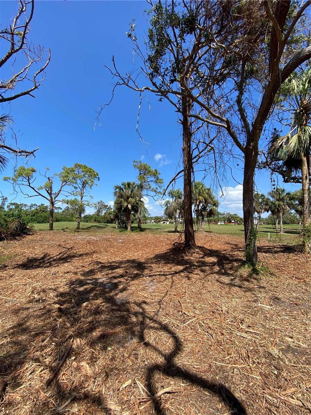 Photo of 45 Long Meadow Place, Rotonda West, FL 33947 (MLS # U8188759)