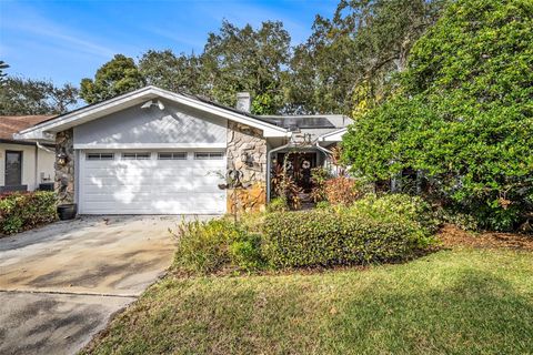 A home in SAFETY HARBOR