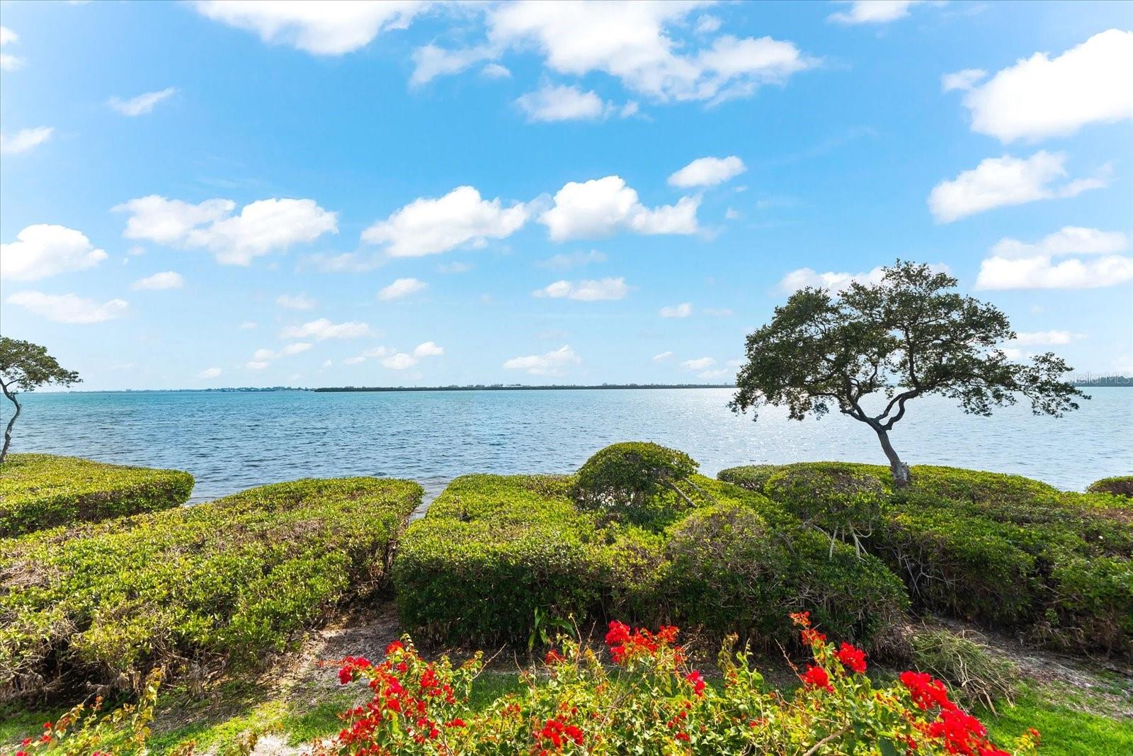 TIDY ISLAND PH II - Residential