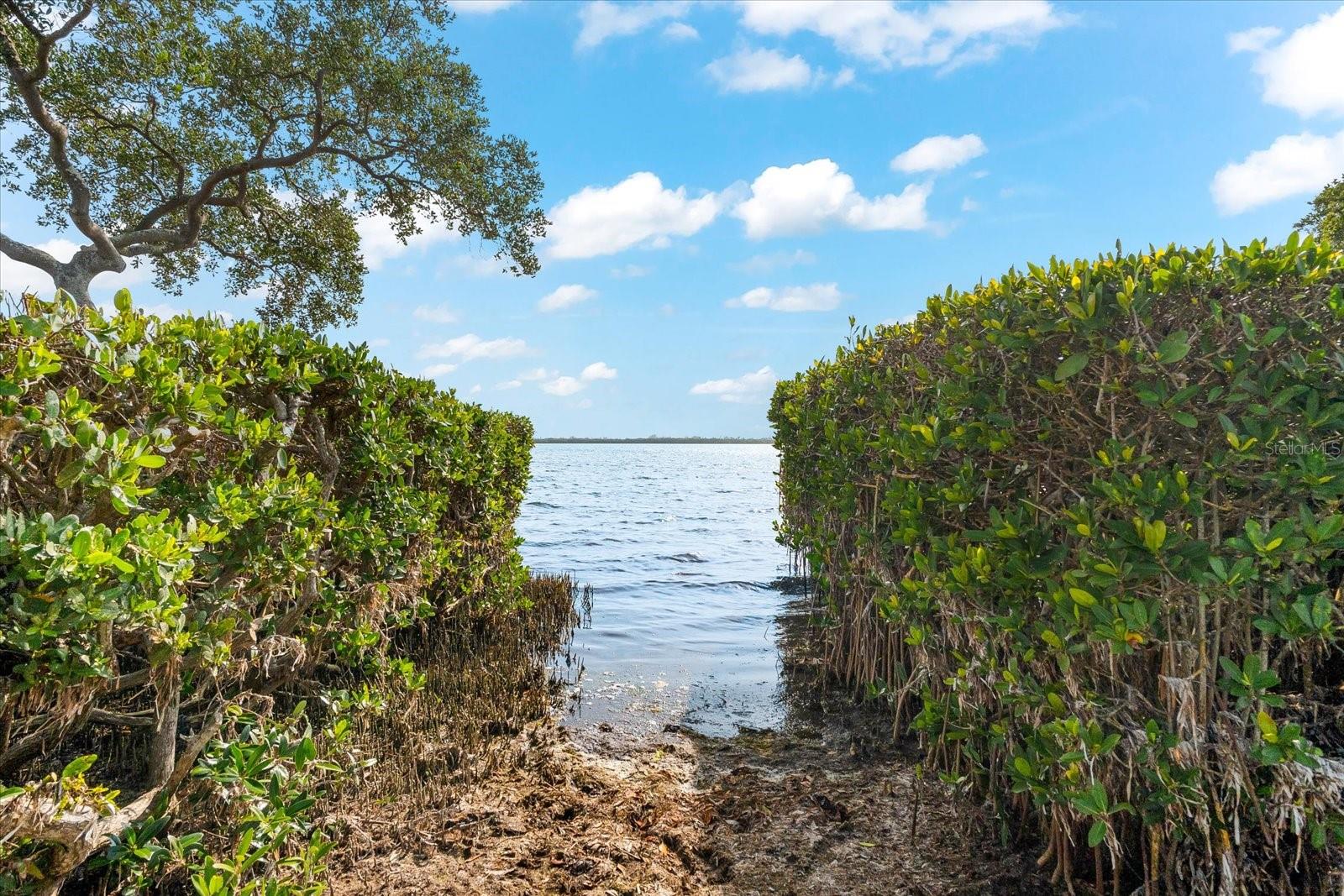 TIDY ISLAND PH II - Residential