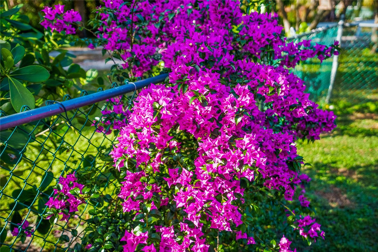 HAGLE PARK - Residential