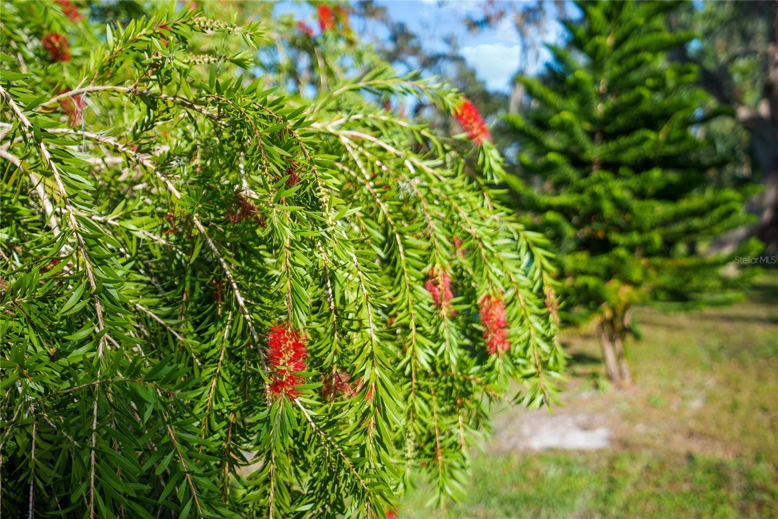 HAGLE PARK - Residential