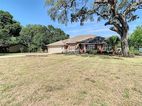 A home in SPRING HILL