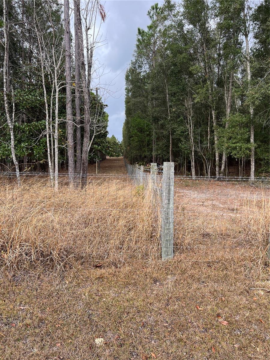 FT WHITE - Residential