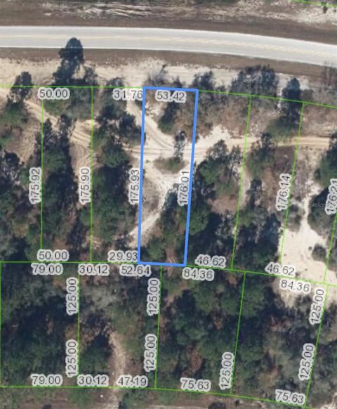731 COUNTY ROAD 29 LAKE PLACID FL 33852