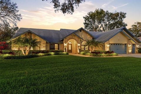 Photo of 3612 Sugar Loaf Lane, Valrico, FL 33596 (MLS # TB8469294)