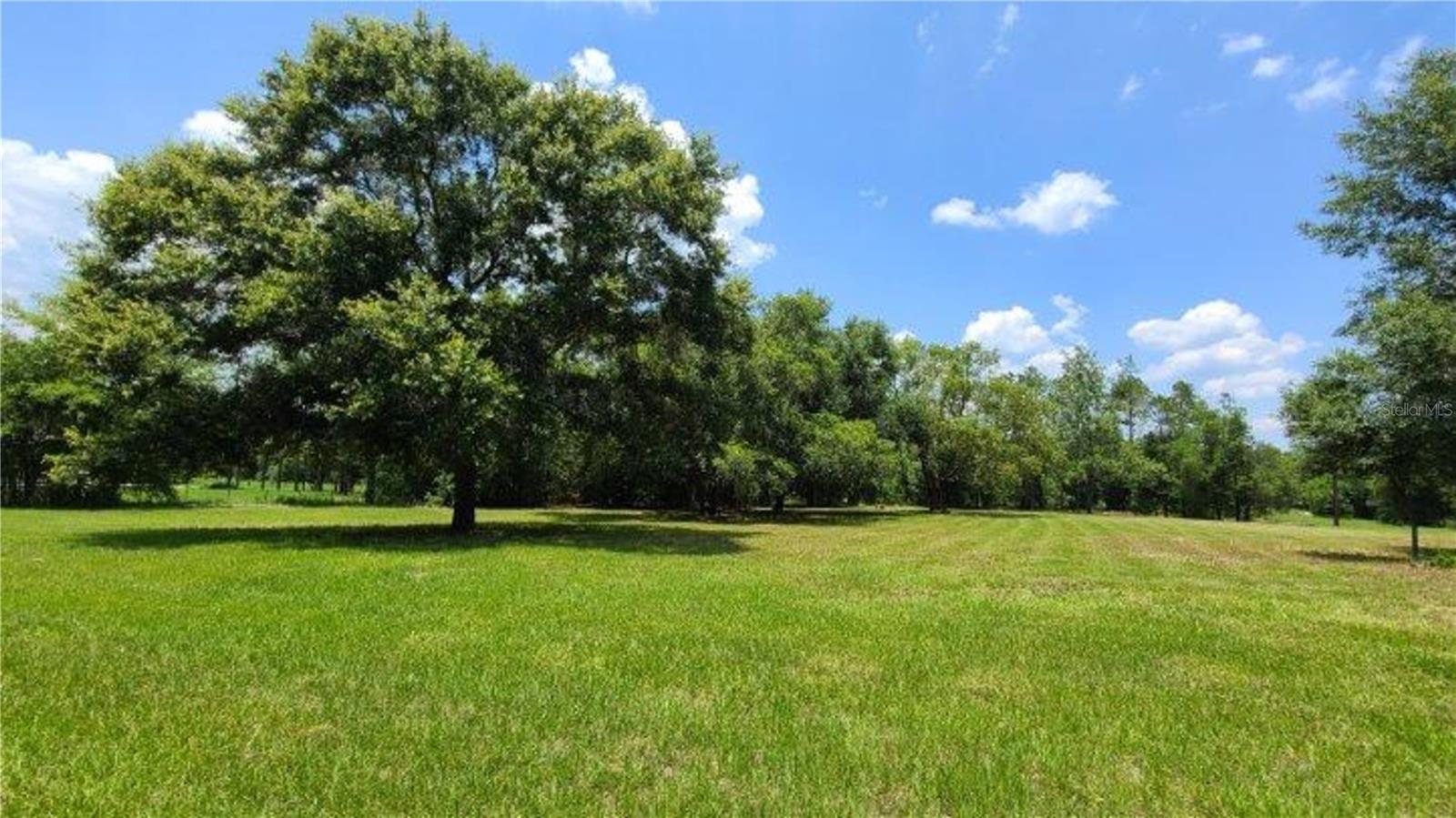 ETHERIDGE ACRES - Land