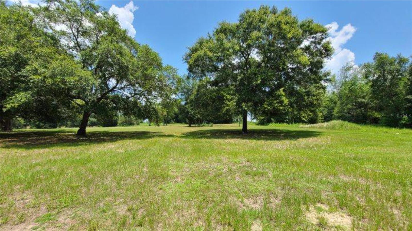 ETHERIDGE ACRES - Land