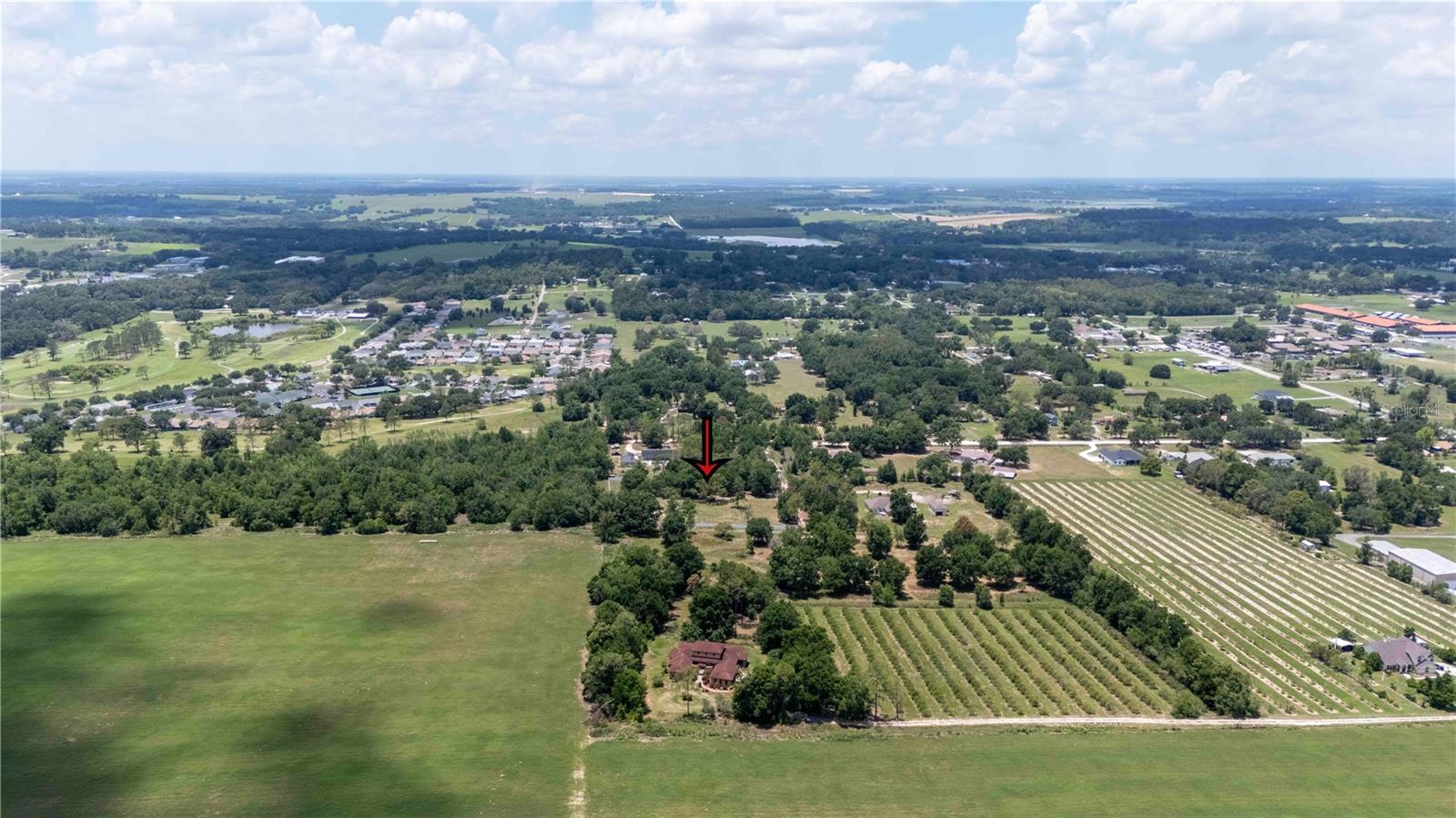 ETHERIDGE ACRES - Land