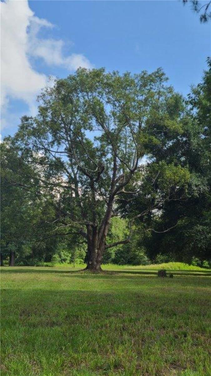 ETHERIDGE ACRES - Land