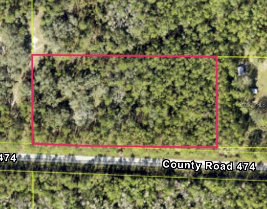 Almost 5 acres with NO HOA! Make this your farm or your dream home location. On a main road allows you easy access to so many places like shopping, dining, Disney, etc. Go Direct and check it out.