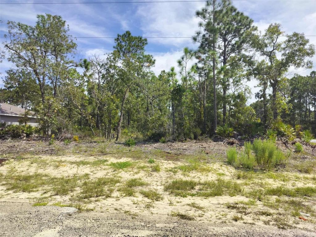 Photo of 6665 N Darlington Drive, Dunnellon, FL 34434 (MLS # TB8429306)