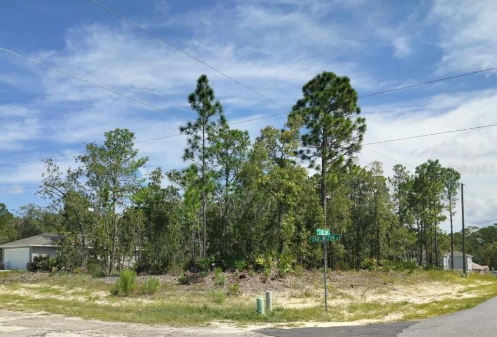 Photo of 6665 N Darlington Drive, Dunnellon, FL 34434 (MLS # TB8429306)