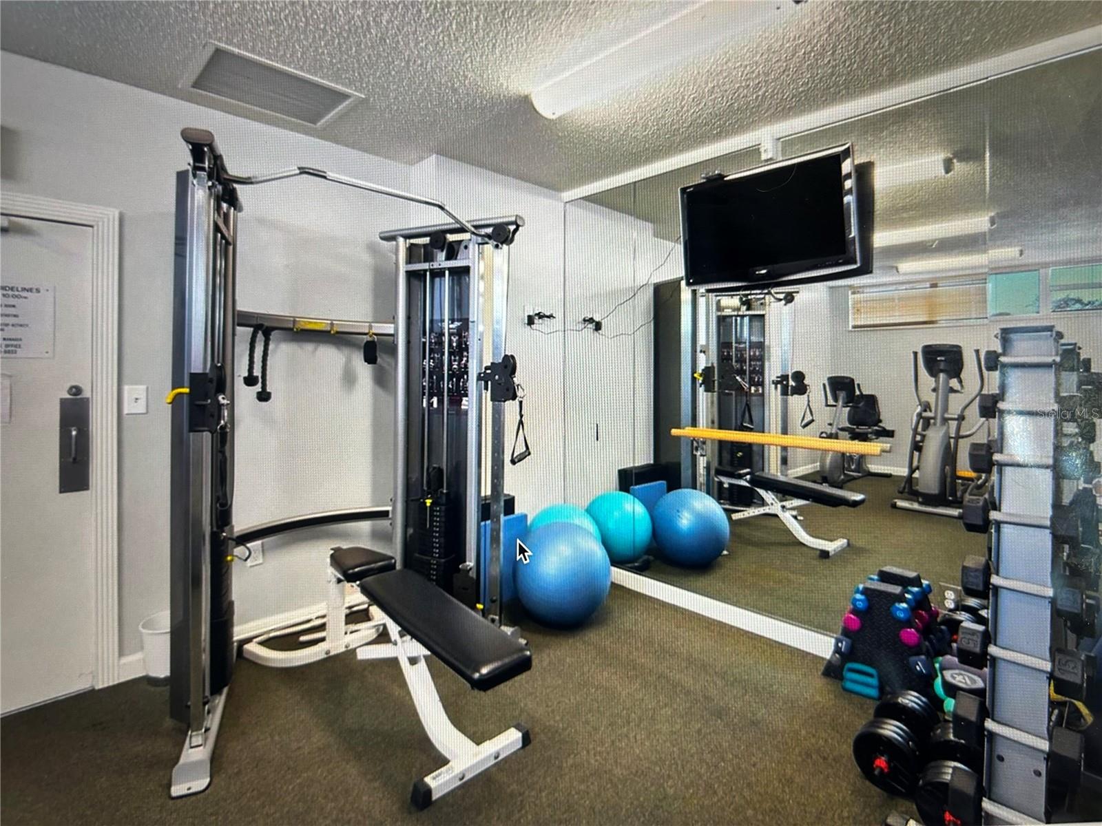 ROYAL ST ANDREW - Residential Lease