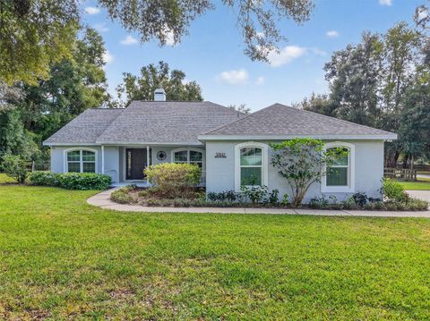 33043 WINDY OAK STREET SORRENTO FL 32776