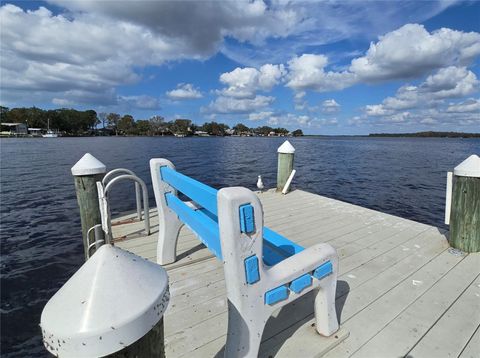 A home in PALM HARBOR