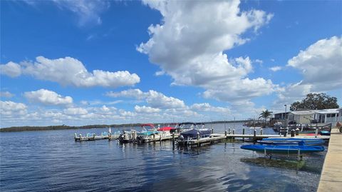 A home in PALM HARBOR