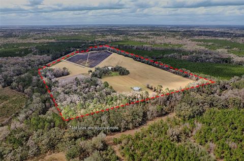 19019 N SR 121 GAINESVILLE FL 32653