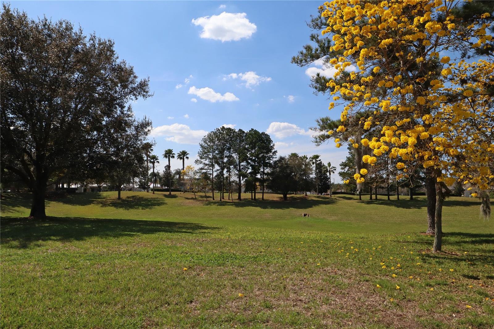 WYNDHAM PALMS PH 1B - Residential