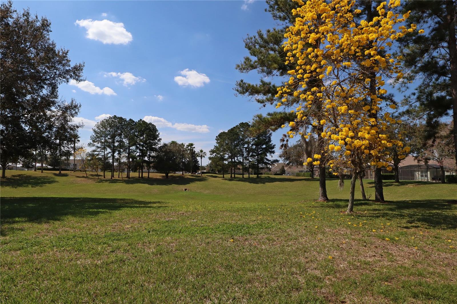 WYNDHAM PALMS PH 1B - Residential