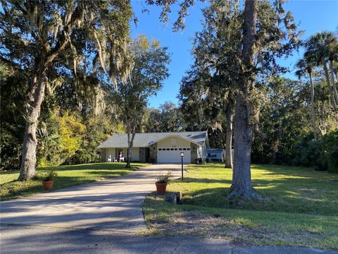 2380 CAPTAIN BUTLER TRAIL NEW SMYRNA BEACH FL 32168