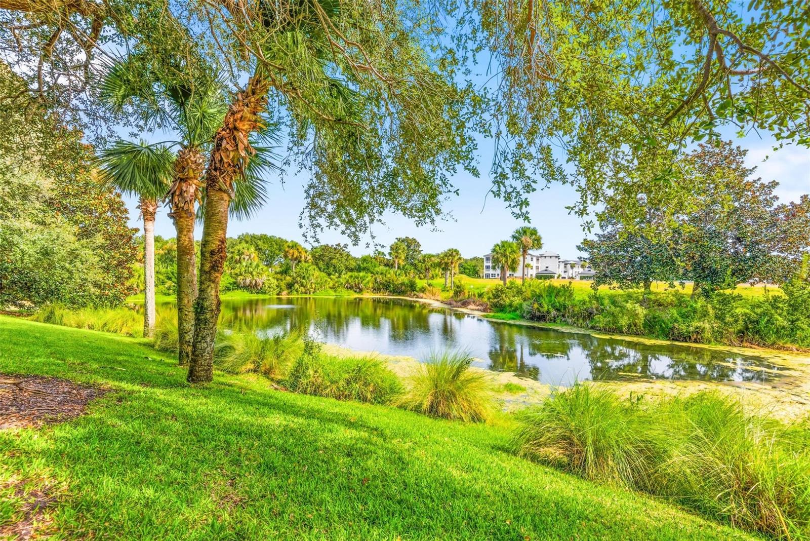 12 RIVERPOINT DRIVE 12