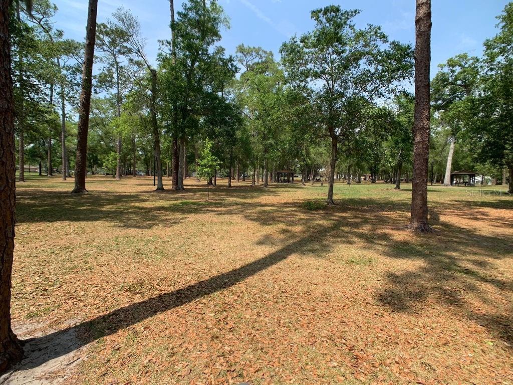 DELANEY TERRACE - Residential