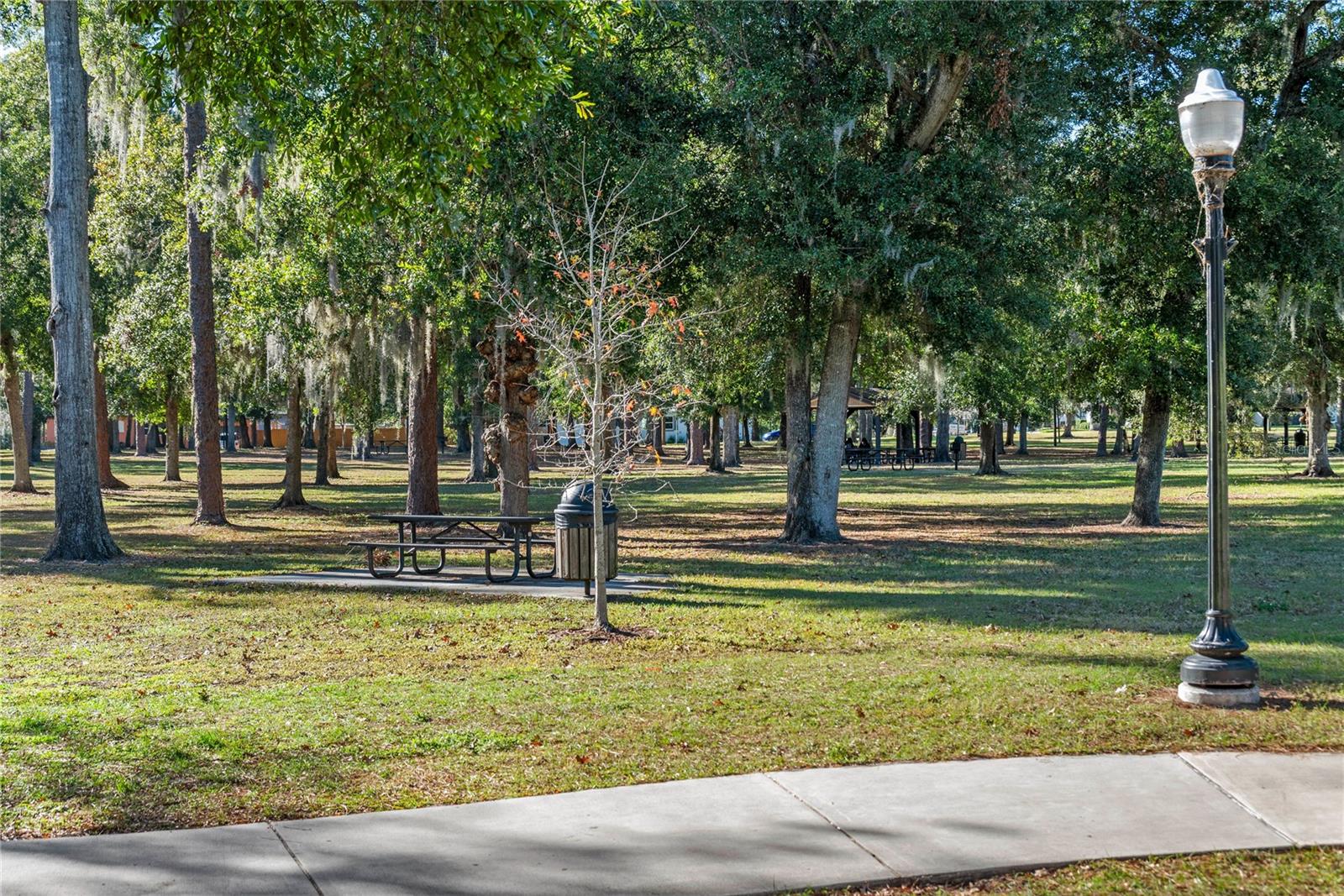 DELANEY TERRACE - Residential