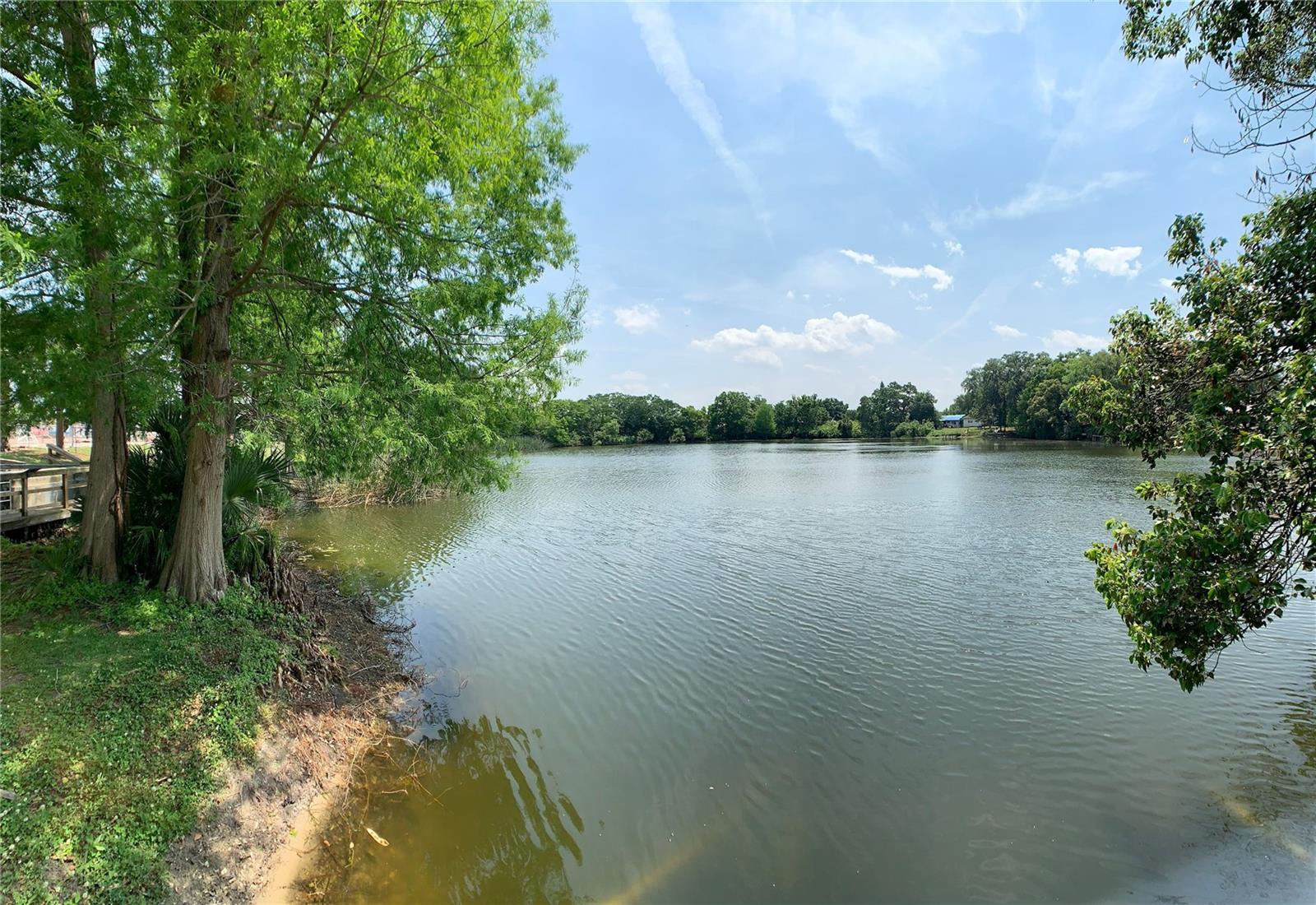 DELANEY TERRACE - Residential