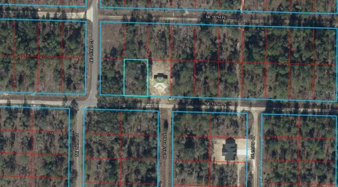 Photo of Tbd NE 15th Lane, Williston, FL 32696 (MLS # OM728826)